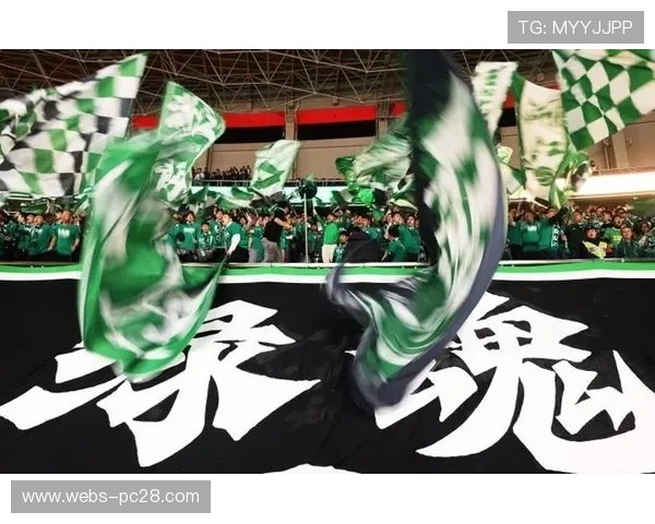 浙江队更名杭州传闻引球迷反对,绿魂协会强调省域认同重要性 浙江队更名杭州传闻引球迷反对,绿魂协会强调省域认同重要性